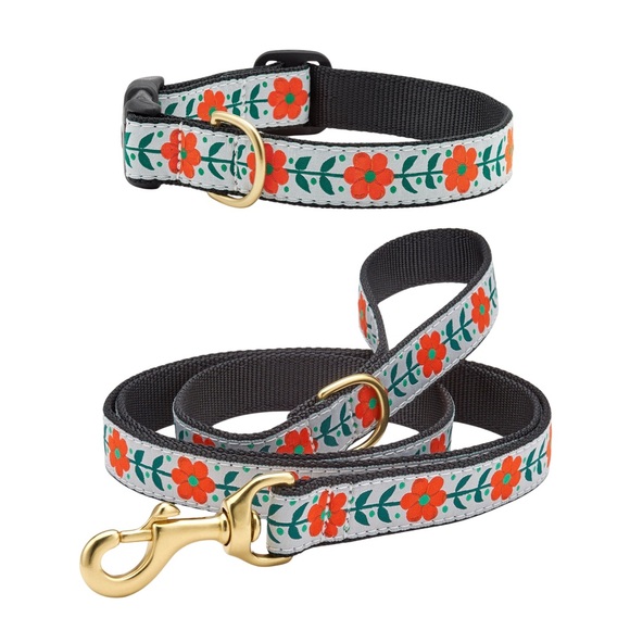 Up Country Other - Up Country Orange You Pretty Dog Collar and Leash